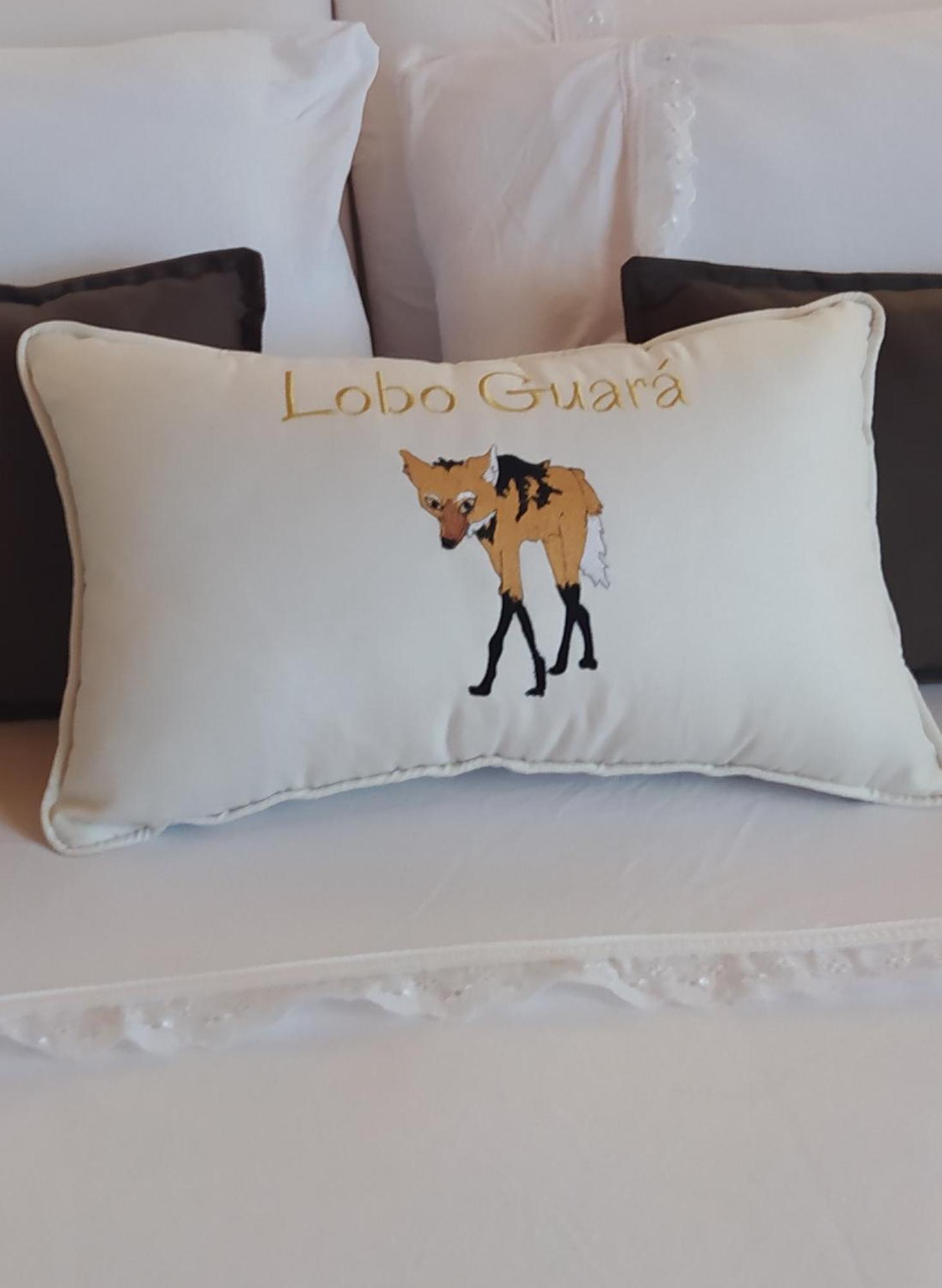 Lobo Guara Hospedagem Loft Alto Paraíso de Goiás Exterior photo